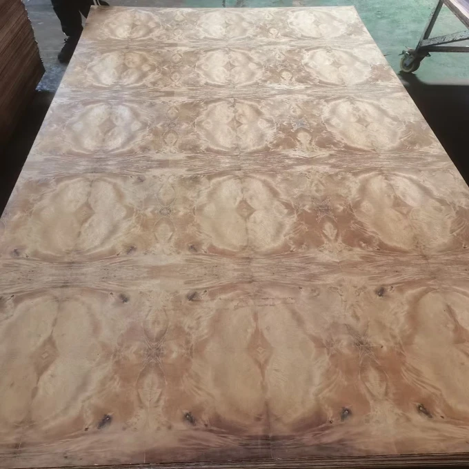 product-680-680